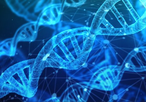 Этот ИИ создал полностью искусственную ДНК человека